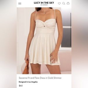 Lucy in the sky Savannah Fit and Flare Dress in Gold Shimmer